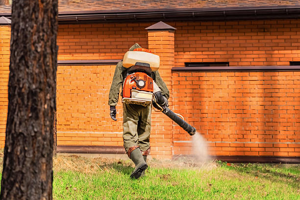 Bed Bug Clearance Verification and Documentation in New Port Richey East